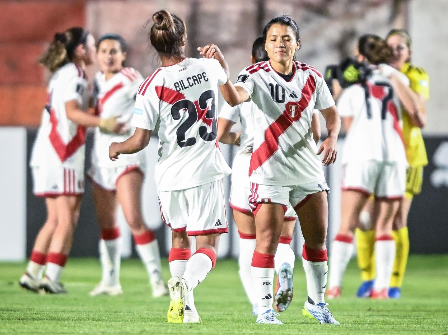 Fotografía: Federación Peruana de Fútbol